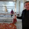Kefaller Arap ülkelerine, havyarları Amerika ya Kefaller Arap ülkelerine, havyarları Amerika ya