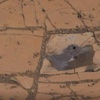 NASA’nın yayınladığı inanılmaz fotoğraflar NASA’nın yayınladığı inanılmaz fotoğraflar