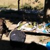 Jandarma ekiplerinden uyuşturucu operasyonu
