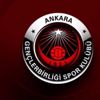Gençlerbirliği'nde 5 yönetici istifa etti