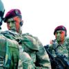 Bordo Bereliler Karadeniz dağlarında