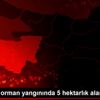 Bursa da orman yangınında 5 hektarlık alan zarar gördü Bursa da orman yangınında 5 hektarlık alan zarar gördü