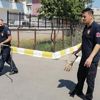 Otomobilin motoruna giren yılan paniğe neden oldu Otomobilin motoruna giren yılan paniğe neden oldu