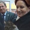 Akşener'den 'Dünya Kediler Günü' paylaşımı Akşener'den 'Dünya Kediler Günü' paylaşımı