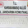 Kahramanmaraş'ta jandarma operasyonunda, Roma dönemine ait 115 tarihi eser yakalandı