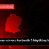 Yılan sokması sonucu kurbanlık 3 büyükbaş hayvanı ... Yılan sokması sonucu kurbanlık 3 büyükbaş hayvanı ...