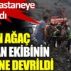 ﻿Muğla'daki orman yangınında yanan ağaç devrildi, 2 kişi yaralandı