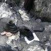 Ailesi önce notu buldu, sonrası korkunç Ailesi önce notu buldu, sonrası korkunç