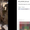 Kediye köpekli eziyetin faturası