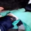 Bacada sıkışan martıları itfaiye kurtardı