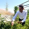 "Kent Çiftliği Projesi" destek almaya hak kazandı "Kent Çiftliği Projesi" destek almaya hak kazandı