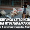 Aracıyla 5 Metreden Şarampole Yuvarlandı Aracıyla 5 Metreden Şarampole Yuvarlandı