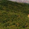 Çevre felaketine yandaş kayırması Çevre felaketine yandaş kayırması