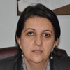 Kandil'den dönen HDP heyetinden taslak açıklaması