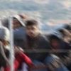 Edirne'de 103 düzensiz göçmen yakalandı Edirne'de 103 düzensiz göçmen yakalandı