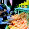 Narenciye ihracatında hedef pazar Uzak Doğu