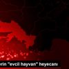 Öğrencilerin "evcil hayvan" heyecanı Öğrencilerin "evcil hayvan" heyecanı