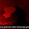 Borçka Baraj gölünde kafes balıkçılığı gelişiyor
