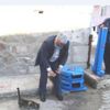 Kütahya'da örnek kedi evi projesi Kütahya'da örnek kedi evi projesi