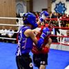 Muaythai Türkiye Şampiyonası başladı Muaythai Türkiye Şampiyonası başladı