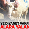 Türkiye Diyanet Vakfından o iddialara yalanlama Türkiye Diyanet Vakfından o iddialara yalanlama
