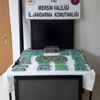 Sendika binasına kumar operasyonu Sendika binasına kumar operasyonu