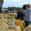 Toprak Mahsulleri Ofisi fındık alımına başladı