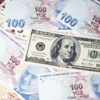 “Lirayı siyasi kaygılar zayıflatıyor”