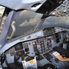 Pilot, denizi kirleten gemiyi şikayet etti