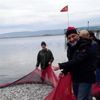 İznik Gölü'nde 40 yıl sonra gümüş balığı şaşkınlığı İznik Gölü'nde 40 yıl sonra gümüş balığı şaşkınlığı
