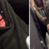 Dünyanın en büyük tavşanı United Airlines'ta öldü Dünyanın en büyük tavşanı United Airlines'ta öldü