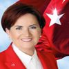 ﻿Meral Akşener, Filenin Sultanları’nı kutladı