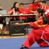 Wushu dövüş sporu nedir?