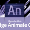 Adobe Flash Player'a son! Adobe Flash Player'a son!