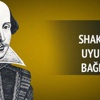 Shakespeare uyuşturucu bağımlısıydı