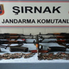 Çadırda 7 Kalaşnikof ele geçirildi Çadırda 7 Kalaşnikof ele geçirildi