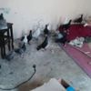 Güvercin hırsızları tutuklandı Güvercin hırsızları tutuklandı