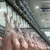 Bursa’da şarbon hastalığı tespit edilen mezbaha ve hayvan pazarı kapatıldı