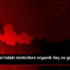 Bafra Ovası ndaki üreticilere organik ilaç ve gübre ... Bafra Ovası ndaki üreticilere organik ilaç ve gübre ...