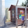 Mahallelinin Baz İstayonu Tepkisi Mahallelinin Baz İstayonu Tepkisi