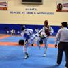 Liseler Arası Tekvando müsabakaları Liseler Arası Tekvando müsabakaları