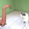 Karanlık oda mucizesi Karanlık oda mucizesi