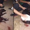 Sokak köpeğine maganda kurşunu Sokak köpeğine maganda kurşunu