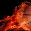 FIBA'dan corona virüs kararı! Tarihler belli oldu FIBA'dan corona virüs kararı! Tarihler belli oldu
