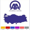 İşte açılan ve sayılan sandık sayısı ve oy yüzdesi