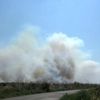 Edremit Körfezi nde sazlık alanda yangın (3)