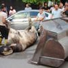 Kaçan angus şehir merkezini birbirine kattı Kaçan angus şehir merkezini birbirine kattı