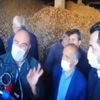 Türkiye'de WhatsApp kullananları kızdıracak açıklama Türkiye'de WhatsApp kullananları kızdıracak açıklama
