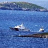 Hayvanlarla bir anlaşma yaptı Hayvanlarla bir anlaşma yaptı
