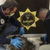 Motor şanzımanına uyuşturucu yerleştirip, kendilerine kargoyla yolladılar Motor şanzımanına uyuşturucu yerleştirip, kendilerine kargoyla yolladılar
